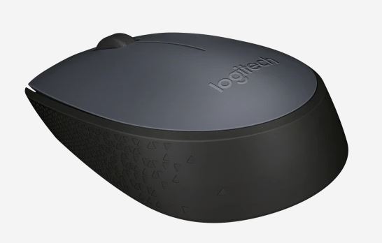 LOGITECH RATON M170 NEGRO/GRIS (910-004940)