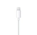 APPLE AUDIF EARPODS LIGHTNING (MWTY3AM/A)