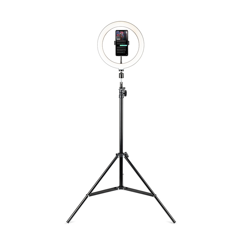 HAVIT ARO DE LUZ 26CM (ST7012i)